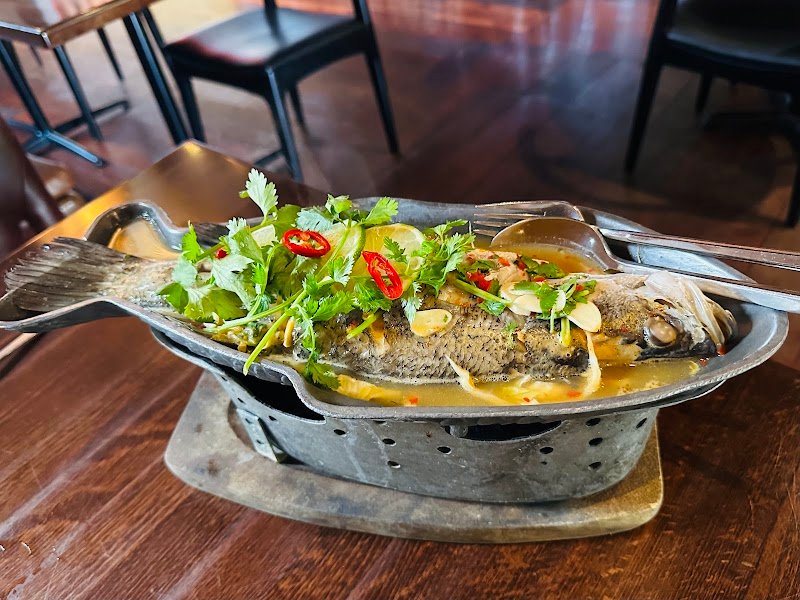 Louder Louder photo 9