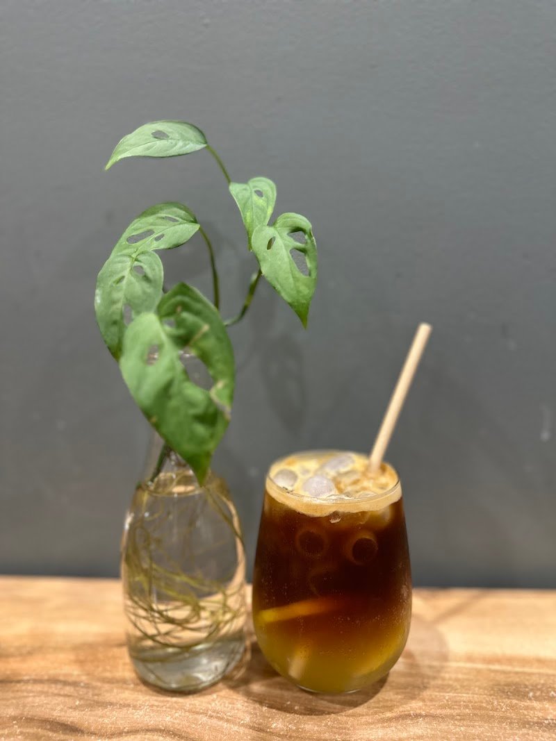 The wild by tummy thai photo 8