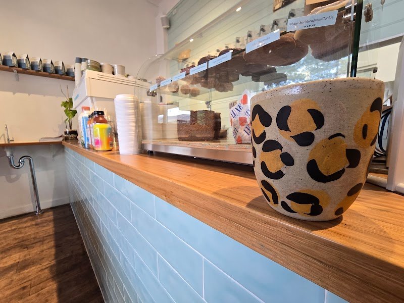 Palmรณ Artisan Aรงai - Freshwater