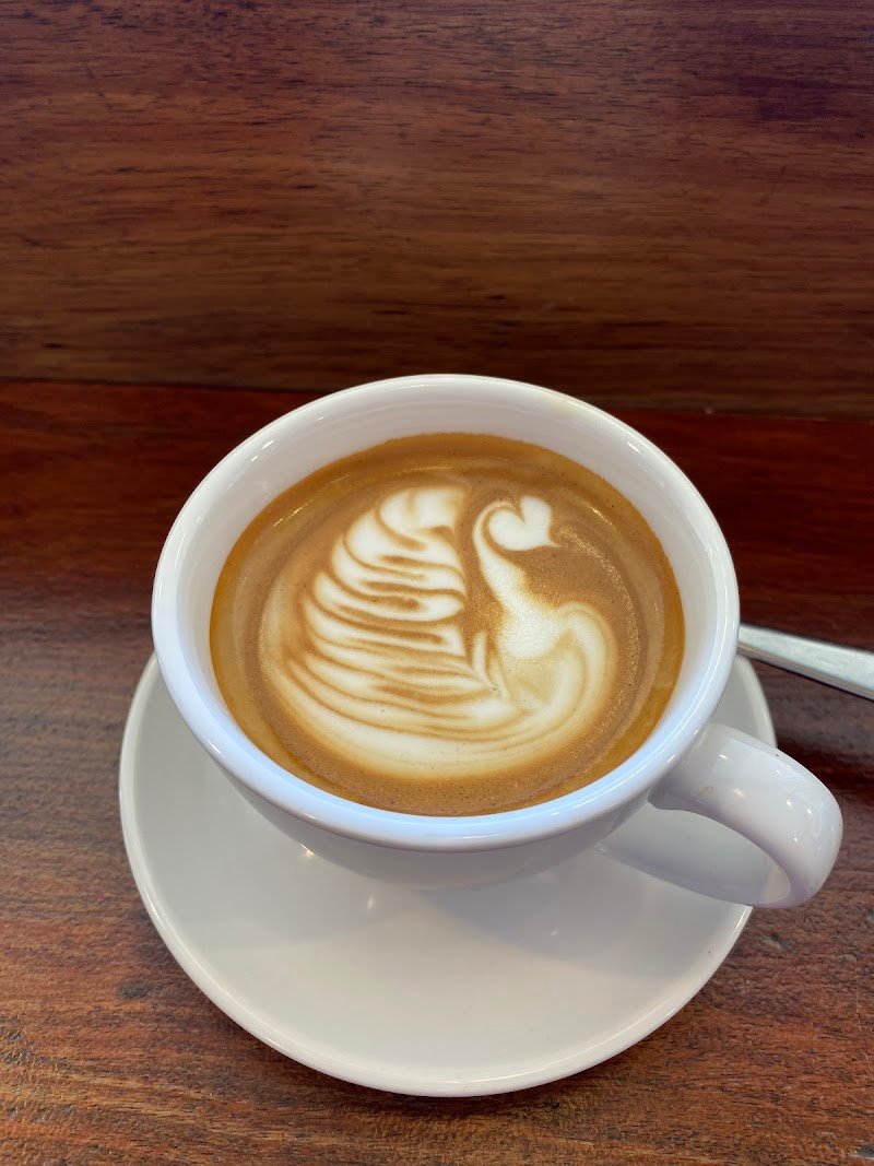 Amelia Coffee Co. photo 3