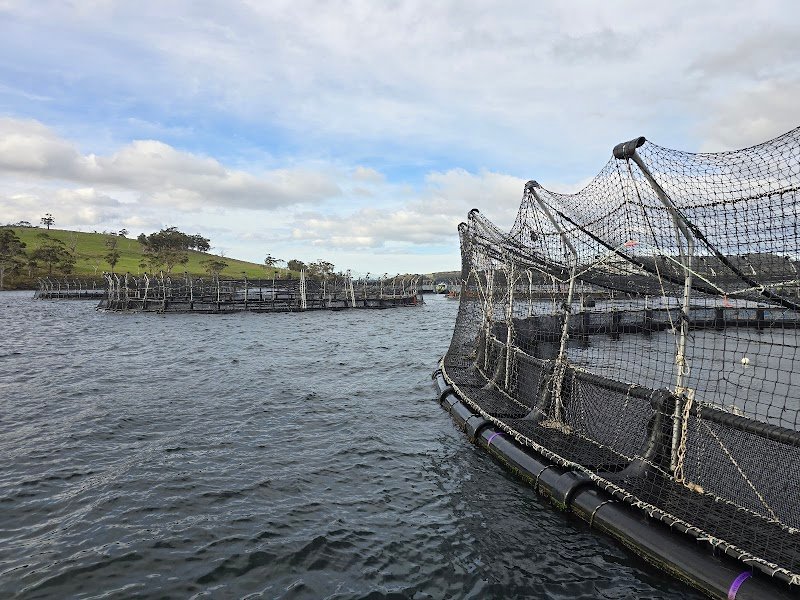 Tasmanian Wild Seafood Adventures photo 8