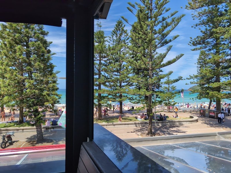 Manly Thai Gourmet photo 5