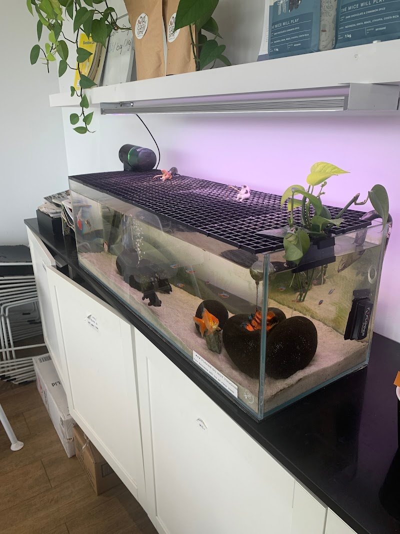 Da Cafe Time photo 5