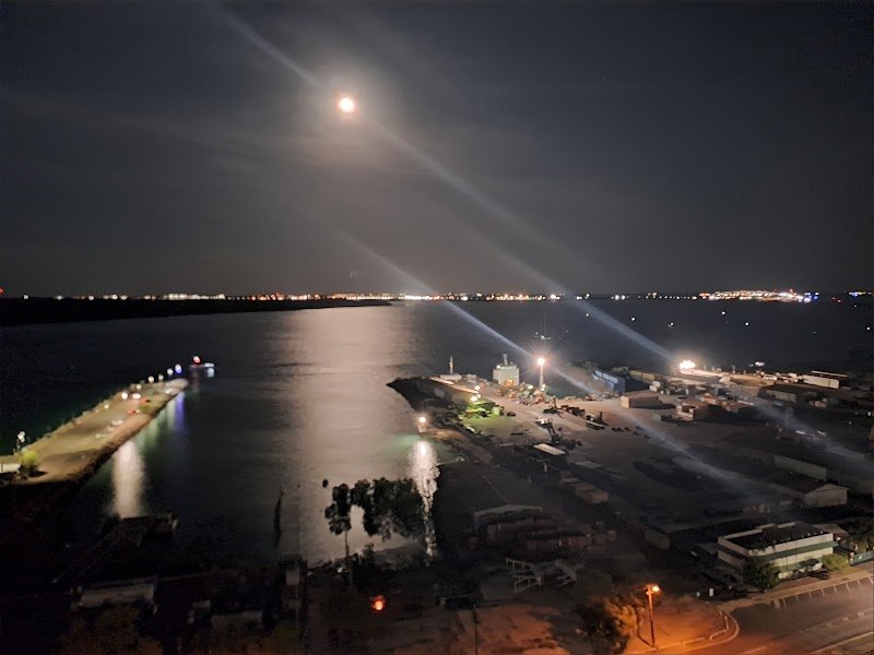 Zen Rooftop Bar photo 5