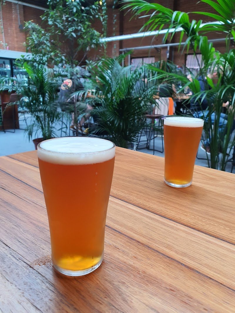 Mixtape Brewing & Bar