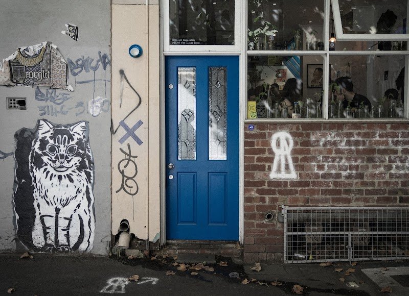 Little Rogue. photo 3