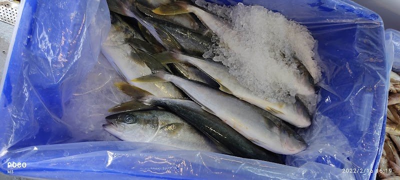 Constitution Dock Fresh Fish photo 10