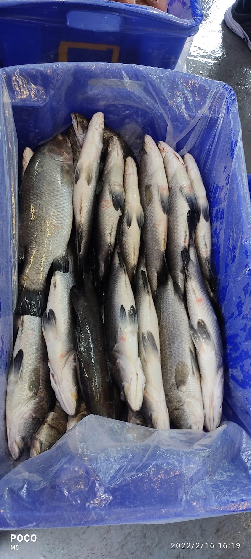 Constitution Dock Fresh Fish photo 4