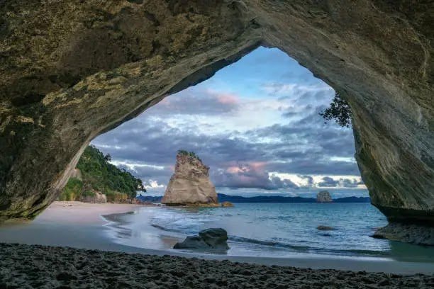 Seaview Malaysian photo 10