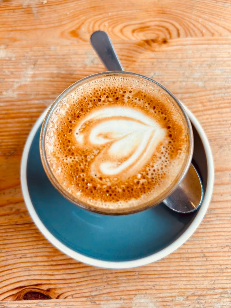 White Picket Fence photo 3