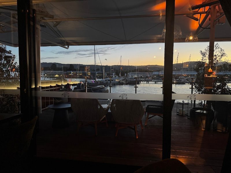 The Black Footed Pig photo 9