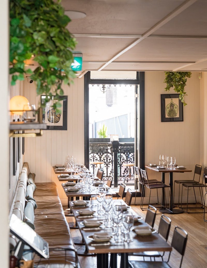 Tequila Mockingbird photo 6