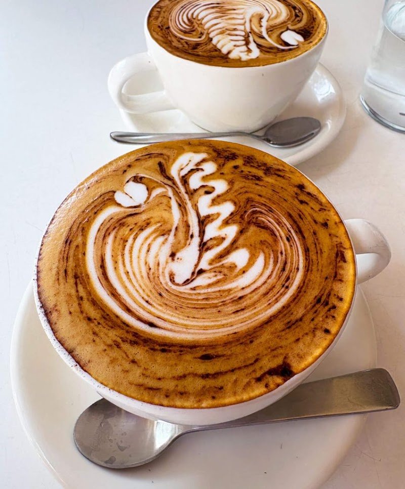 Blackwood Bondi photo 5