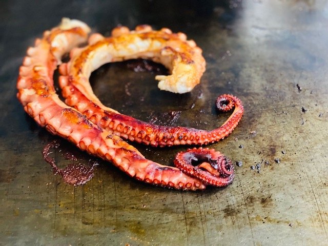 Ripponlea Fish Supply photo 10