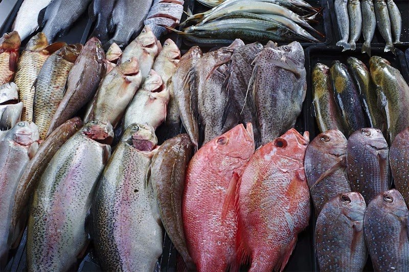 Ripponlea Fish Supply photo 4