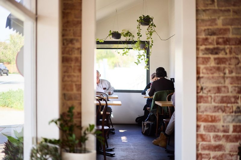 The Little Banksia photo 5