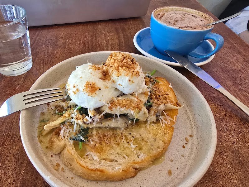 Blue Bear Coffeehouse photo 5