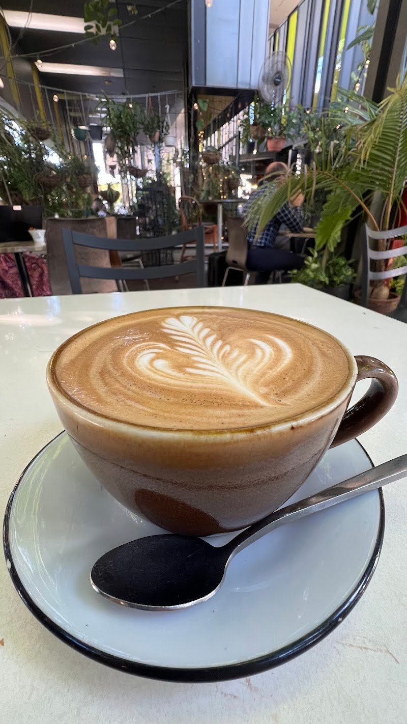 Pedlar Project photo 7