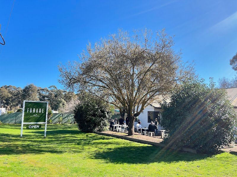 Forage Bendigo photo 4