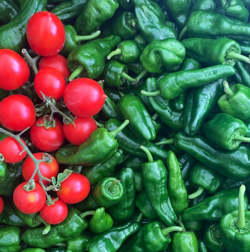 YoYo Bar and Restaurant photo 6